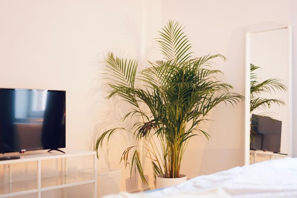 Apartment Nordic Living Im Zentrum Wismars Wißmar